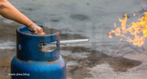 The Importance of Software in LPG Business: Empowering Growth and Success